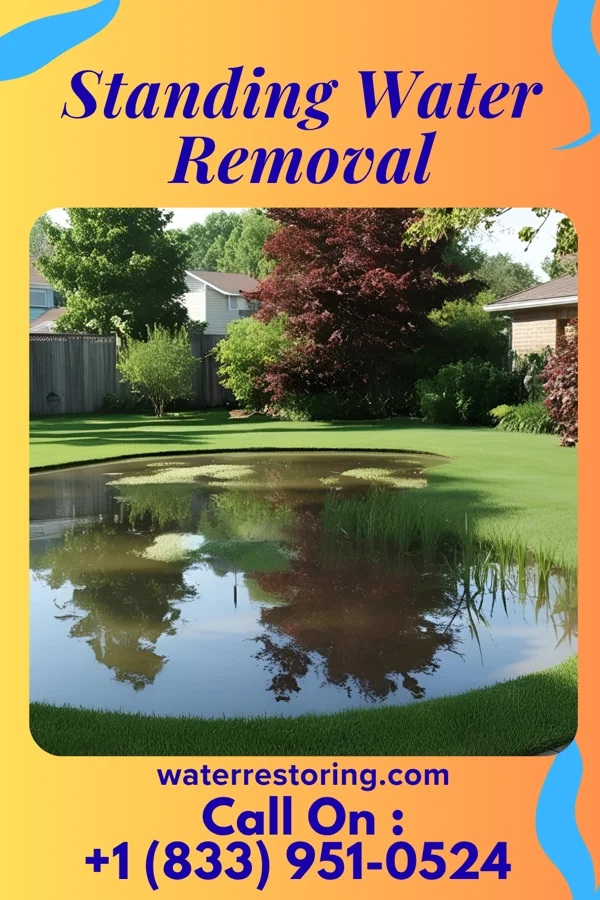 Standing Water Removal in East Herkimer, NY